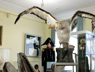 Выставка 200-летие Антарктиды, Николаев