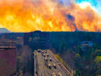 Пожар в Чернобыле, Чернобыльская зона отчуждения, ЧАЭС, лесной пожар