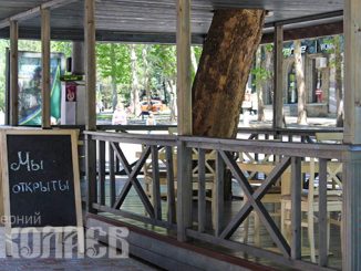 Карантин в Николаеве, кафе, летние площадки, ослабление карантина с 11 мая, улица Соборная