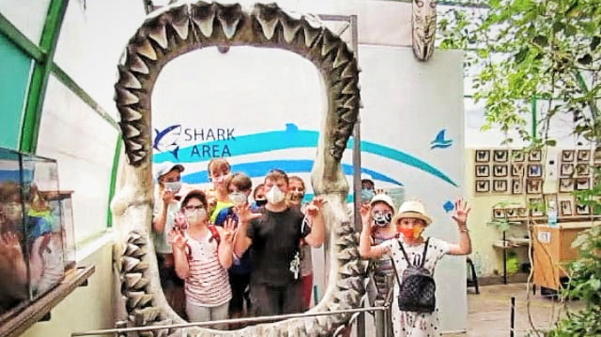 новую фотозону, Николаев, зоопарк, акула, мегалодон, новости, фотофакт, челюсти