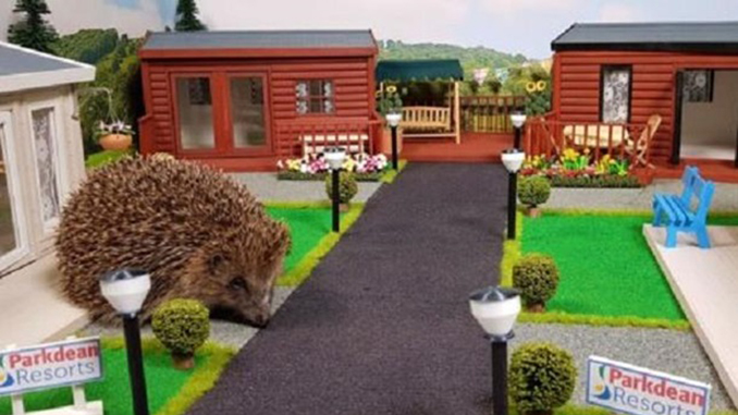 Парк отдыха для ежей, Великобритания, Hedgehog Holiday Park