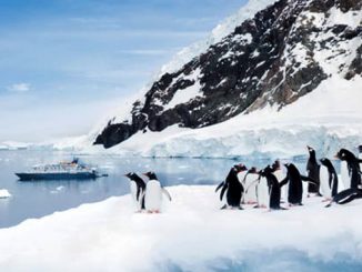 Антарктида, пингвины, ледники, глобальное потепление