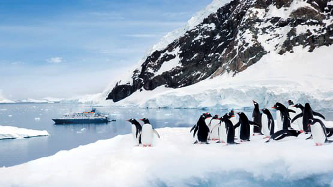 Антарктида, пингвины, ледники, глобальное потепление