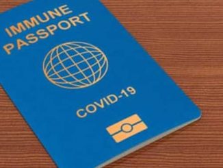 зеленые COVID-паспорта, новости, Австрия, ЕС, Европа, Евросоюз, Европейский союз, Курц, коронавирус, пандемия, COVID-19, вакцина,