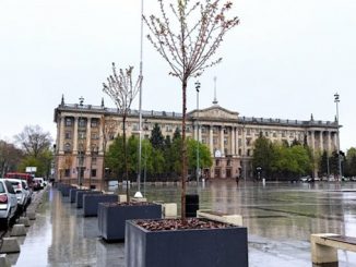 Деревья в кадках на Соборной площади