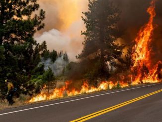 Лесные пожары, Калифорния