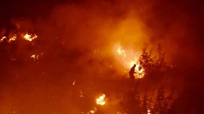 Северная Македония, новости, пожары, кризис, кризисная ситуация, огонь, лесные пожары, стихия,