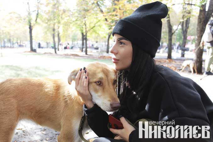 николаев, собаки, беспородные, выставка, Фото Александра Сайковского