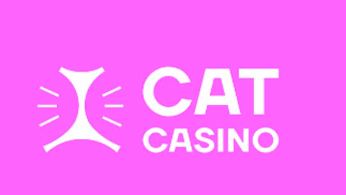 Эти 10 советов сделают ваше cat casino зеркало 2022 профессиональным