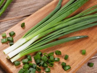 Зеленый лук, витамины, зелень, салат, весна, огород, рецепт