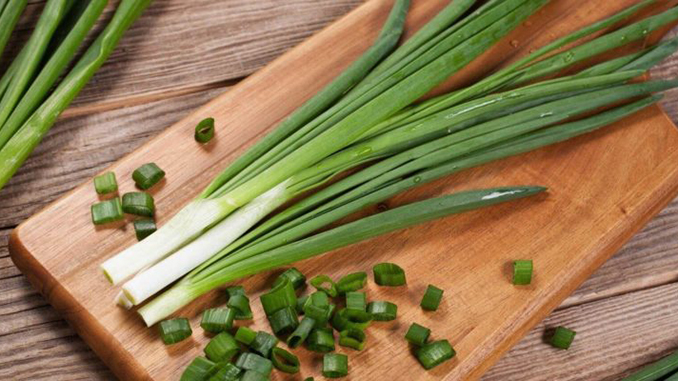 Зеленый лук, витамины, зелень, салат, весна, огород, рецепт