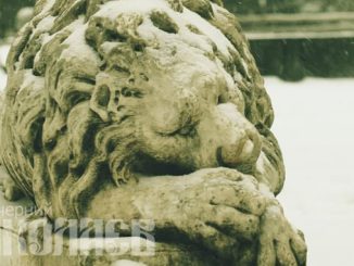 Аркасовские львы, лев, каштановый сквер (с) Фото - А. Сайковский, Вечерний Николаев