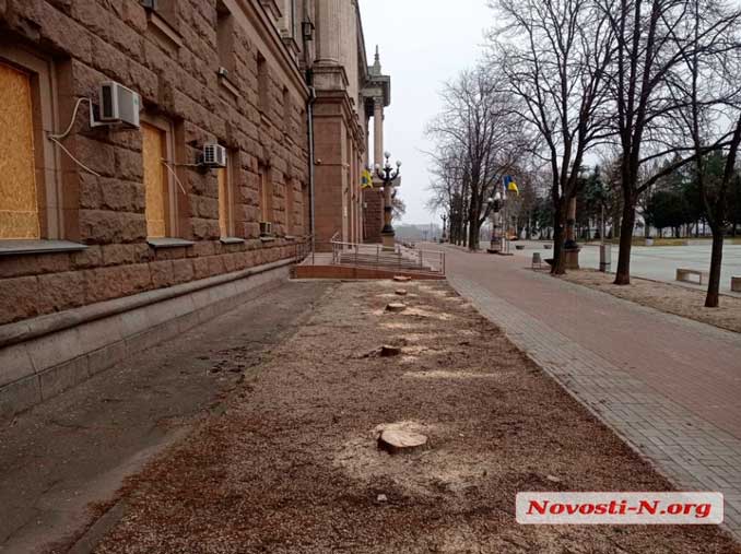 Пеньки возле здания горсовета в Николаеве